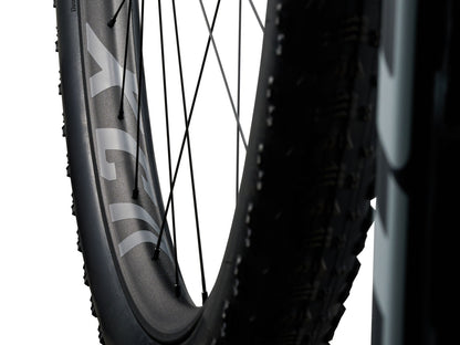 Giant Anthem Advanced SL 2