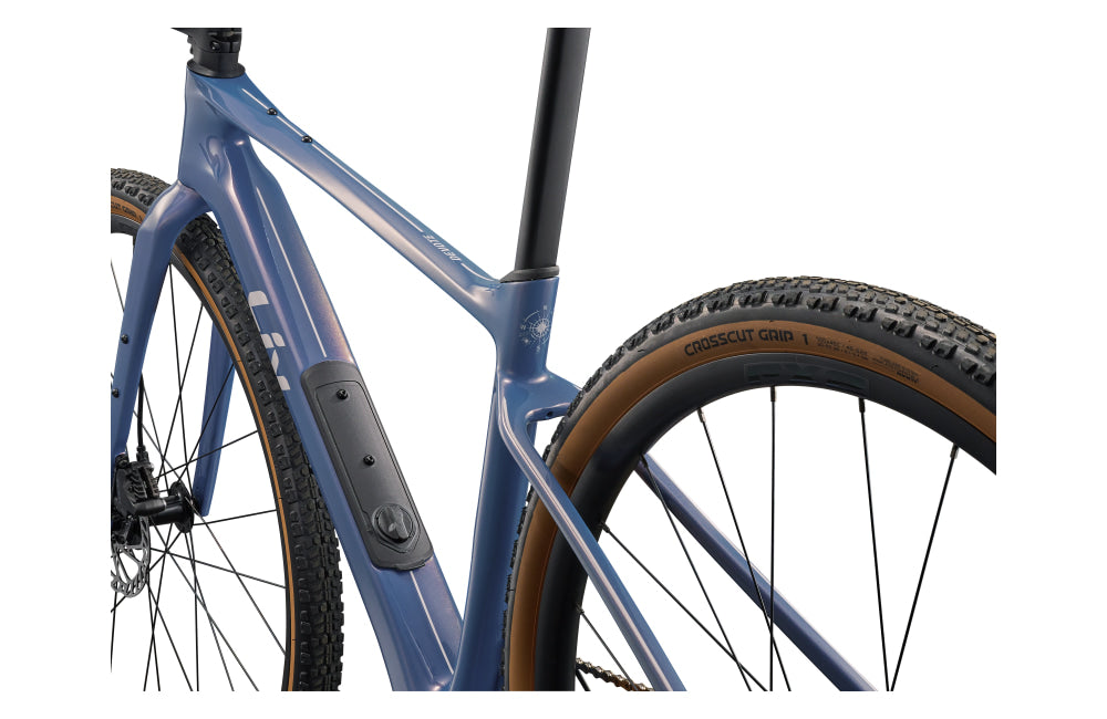 Liv Devote Advanced 2 - detail