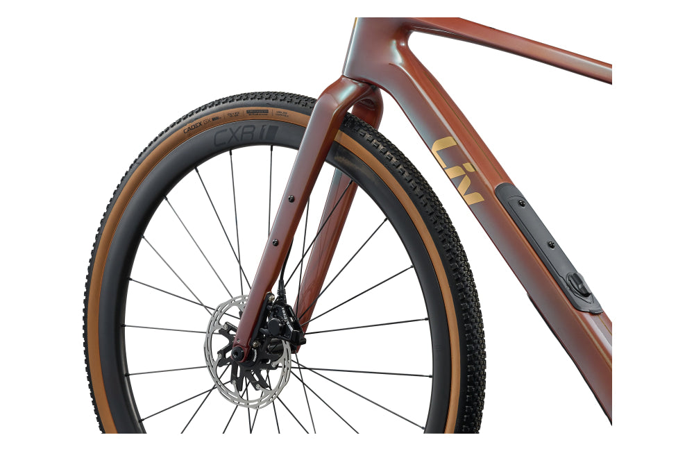 Liv Devote Advanced Pro - detail