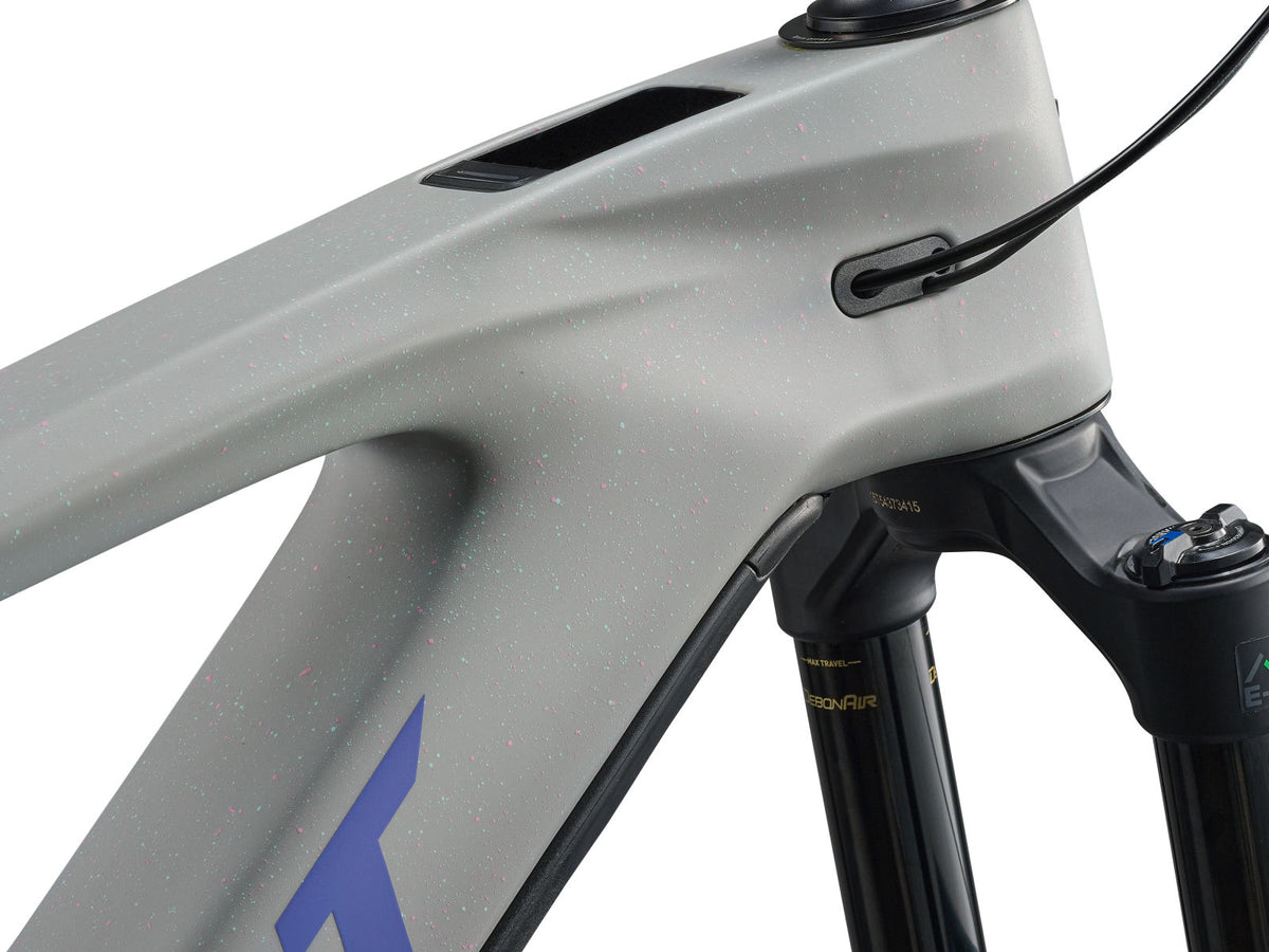 Giant Reign Advanced E+ 2