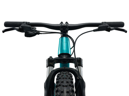 Giant STP 20 FS