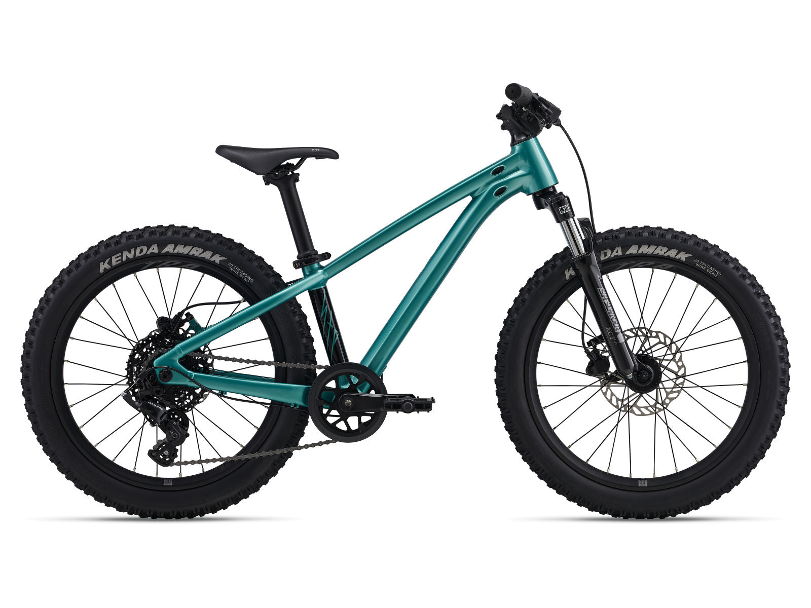 Giant STP 20 Kids Jump Bike  2026 20