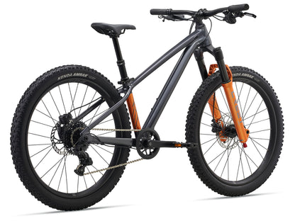 Giant STP 24 2026