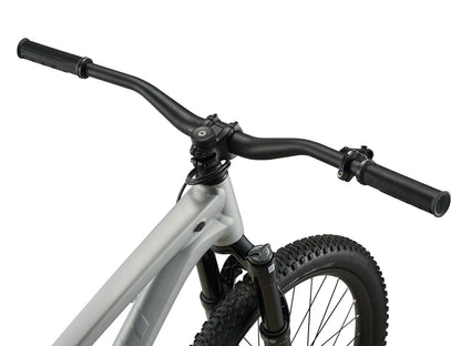 Giant STP 26 - Quicksilver