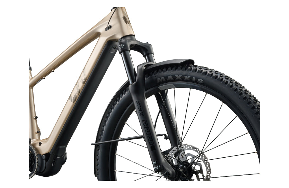 Liv Tempt E+ EX - detail