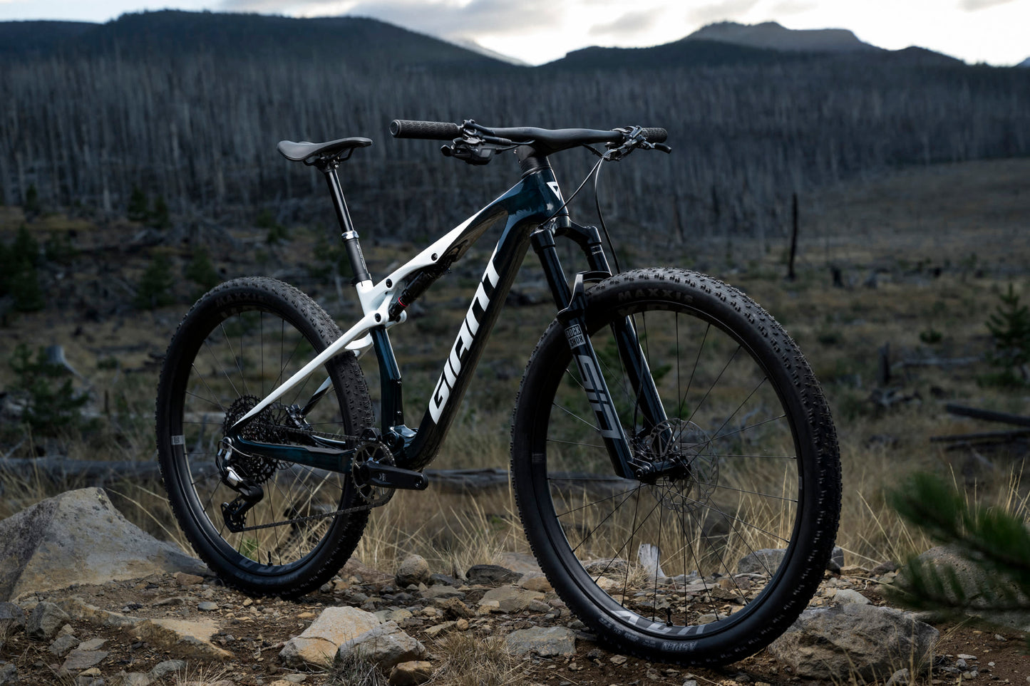 Giant Anthem Advanced SL 2 2026