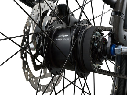 Giant AnyTour E+ 3 DD