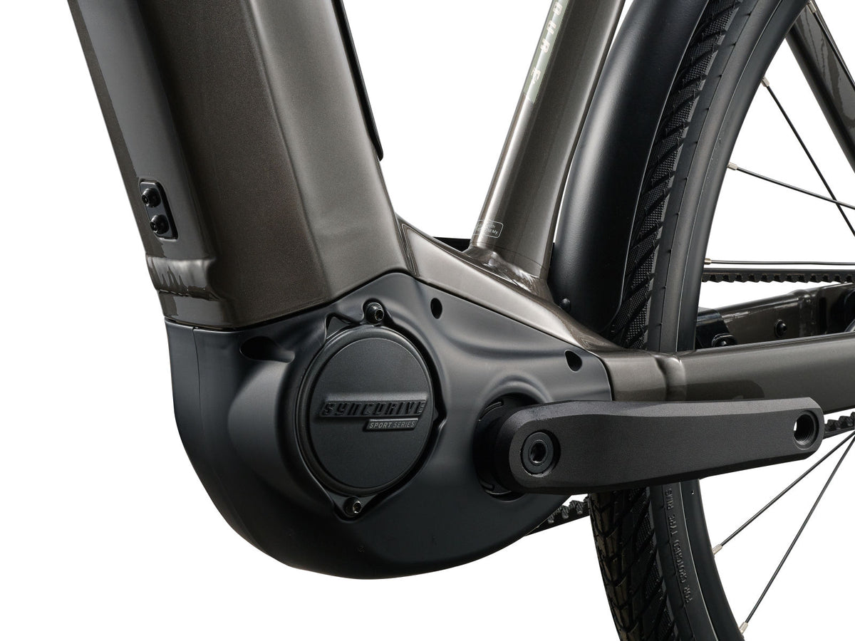 Giant AnyTour E+ 3 DD