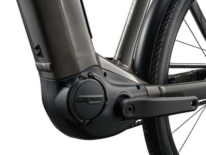 Giant AnyTour E+ 3 DD