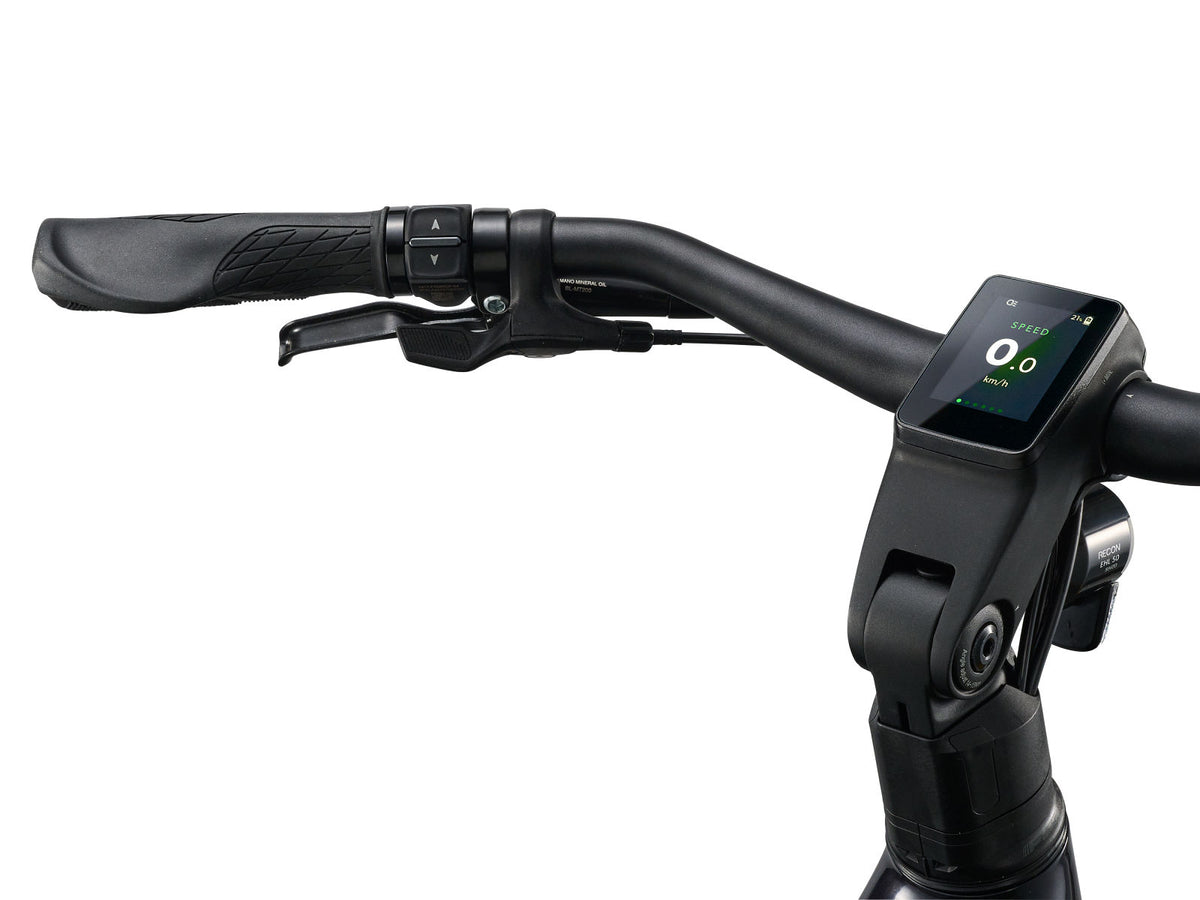 Giant AnyTour E+ 3 DD