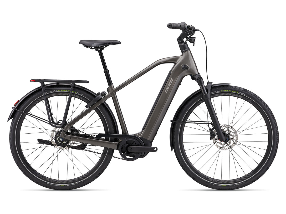 Giant AnyTour E+ 3 DD