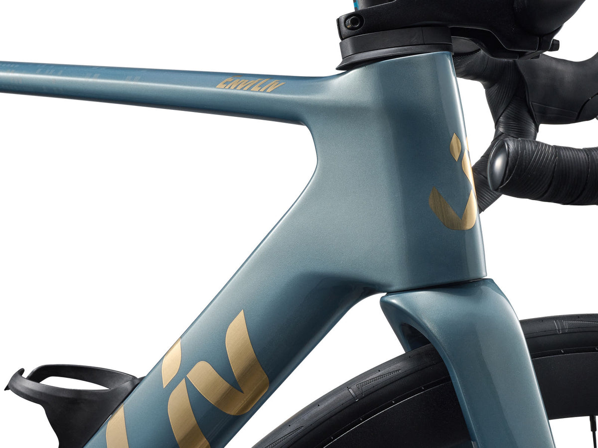 Liv EnviLiv Advanced 2 - Midnight Pine