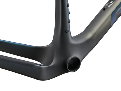 Giant Revolt Advanced SL Frameset - 2027