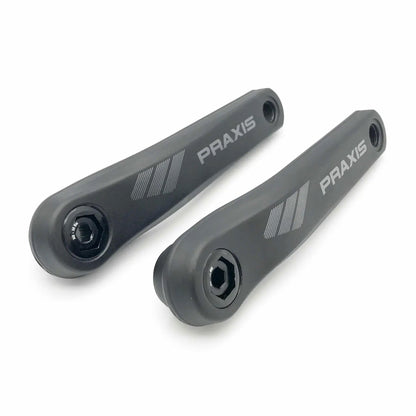 Praxis Works Praxis - eCranks - EC-1 Type 1