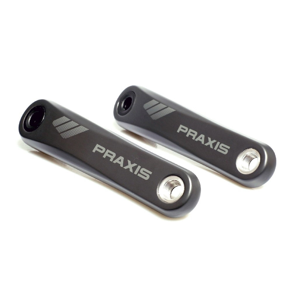Praxis Works Praxis - eCranks - EC-3 Type 3