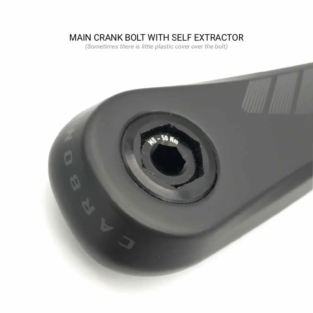 Praxis Works Praxis - eCranks - EC-1 Type 1
