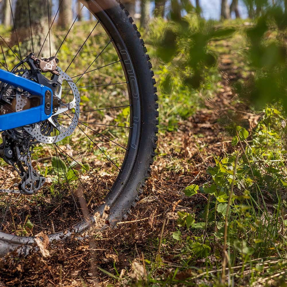 Stans NoTubes - RIM FLOW MK4 29 28H BLACK GR