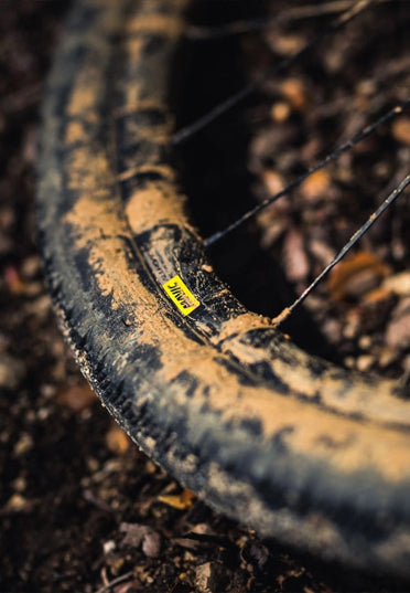 Carbon road wheelset close-up