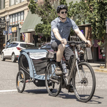 Burley Encore X Bike Trailer