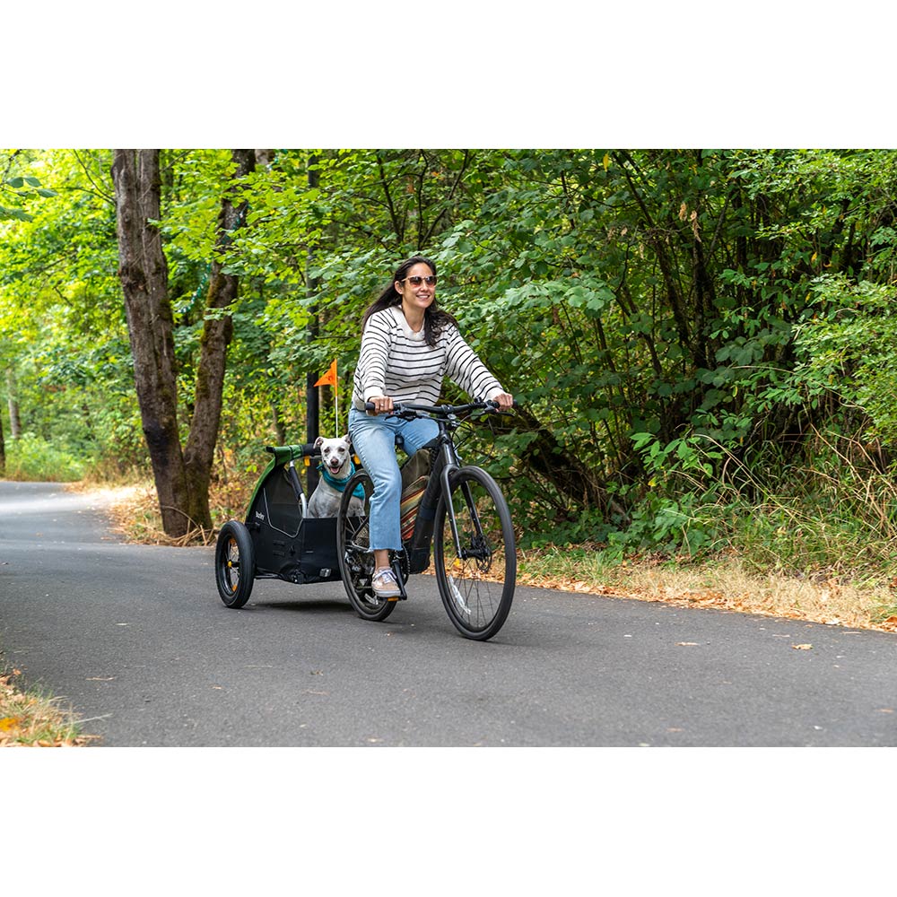 Burley Tail Wagon Pet Trailer