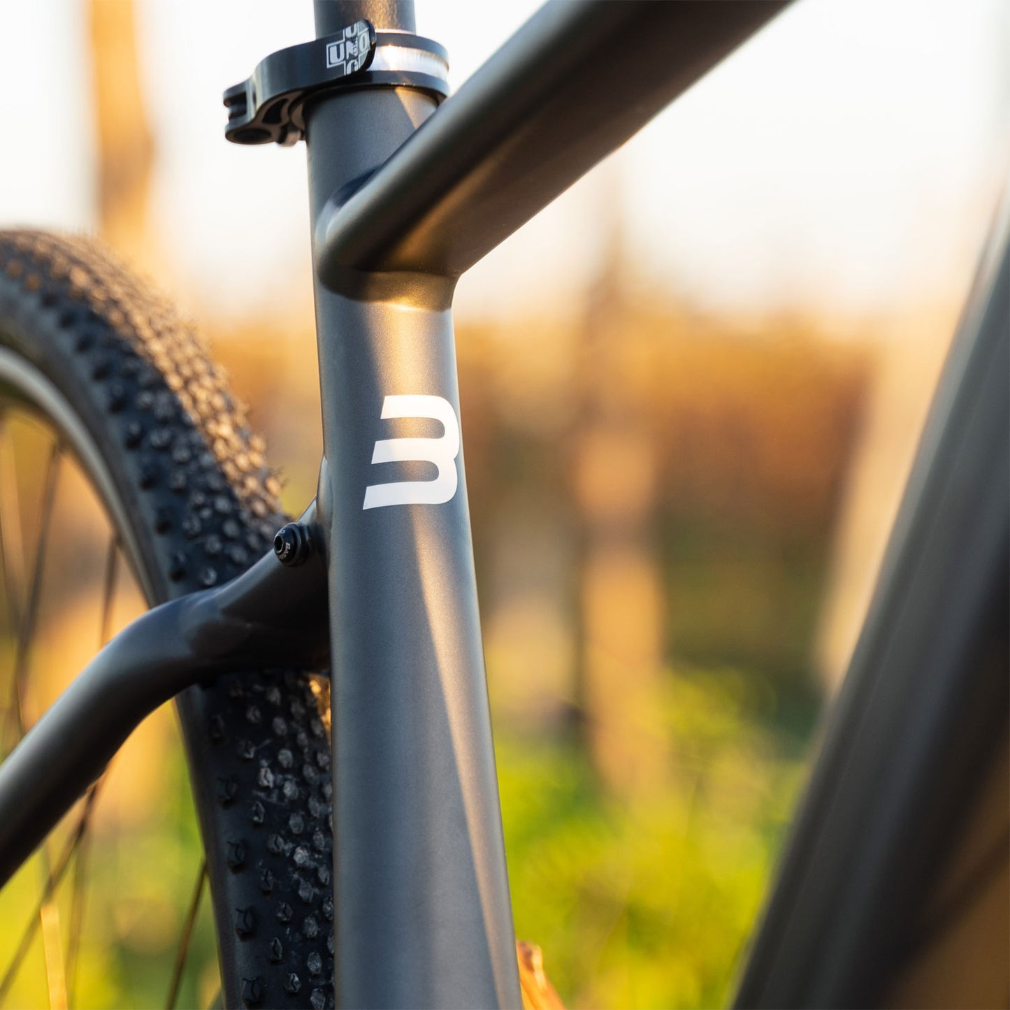Basso Bikes Vega Alu Gravel GRX Black E-Bike
