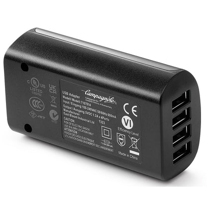 Campagnolo WRL Charger and Cables