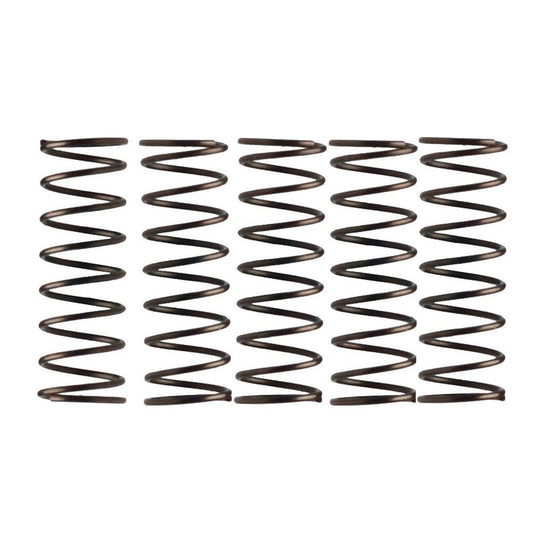 Campagnolo Freehub Pawl Springs