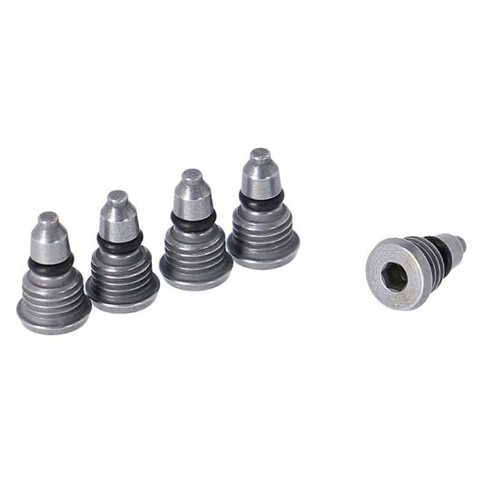 Campagnolo Ergopower Bleeding Screws