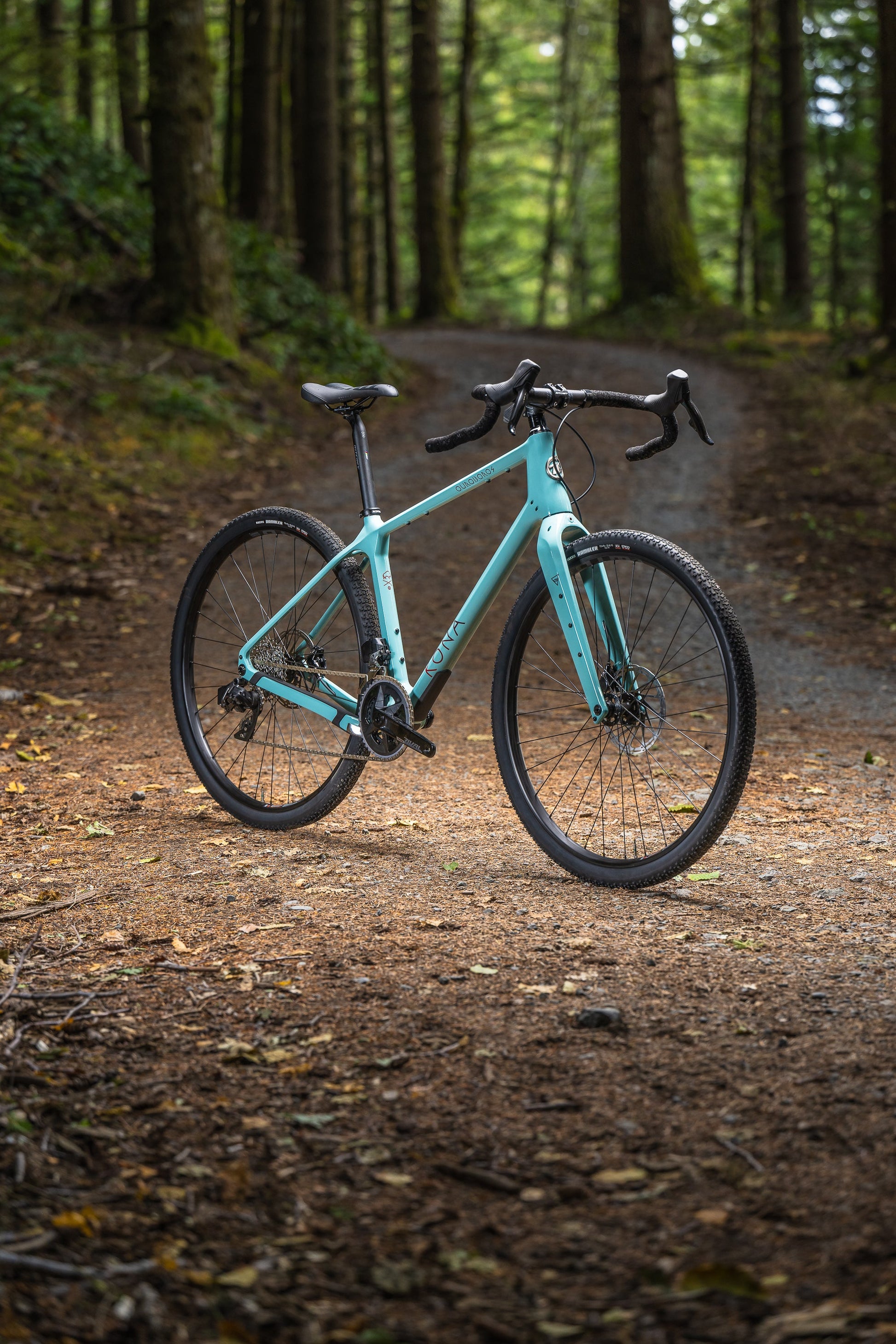 Kona Ouroboros CR/DL - Road / Gravel
