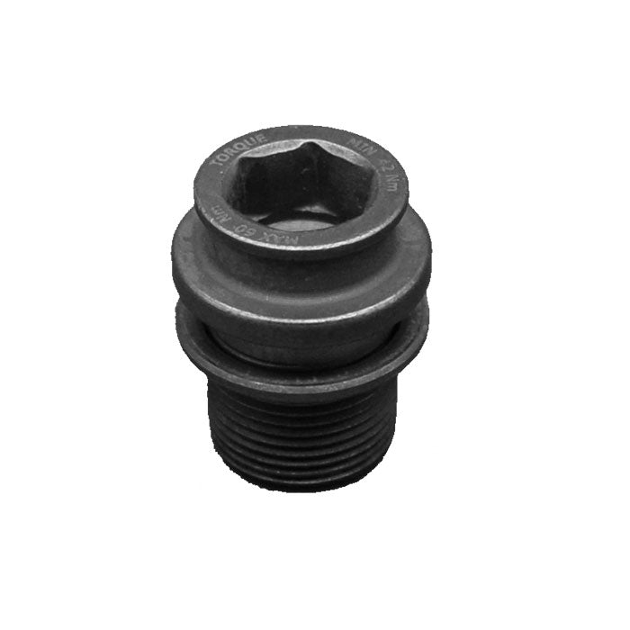 Campagnolo Crank Fixing Bolts