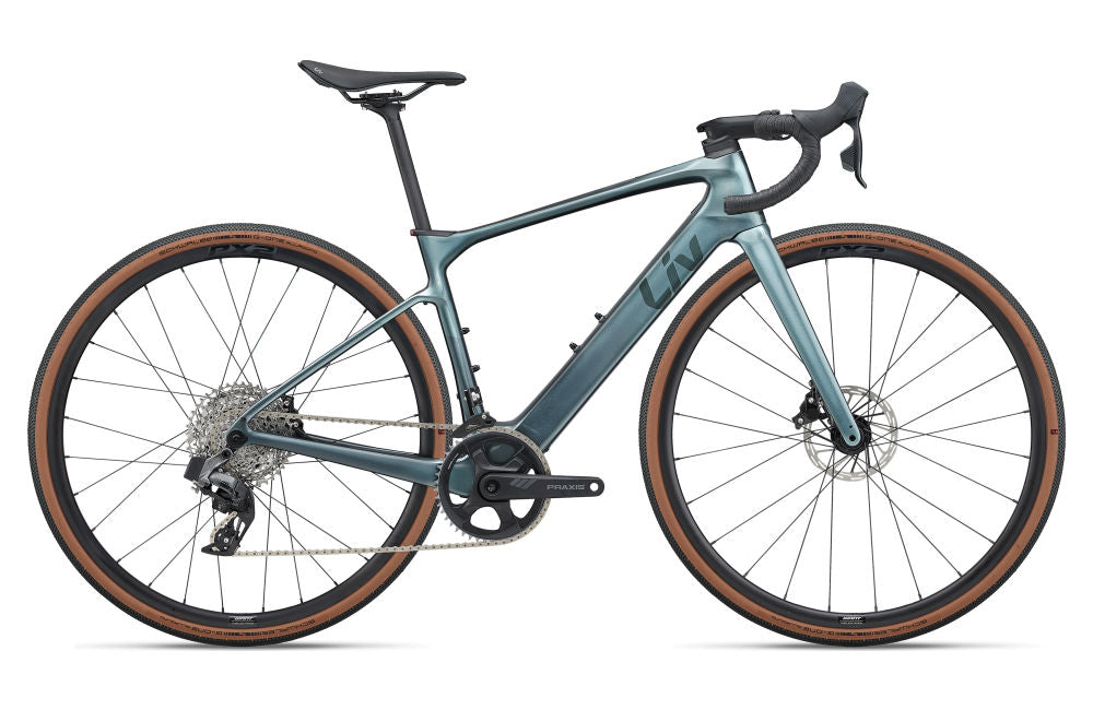 Liv Avail Advanced E+ Elite AR - Silver Pine