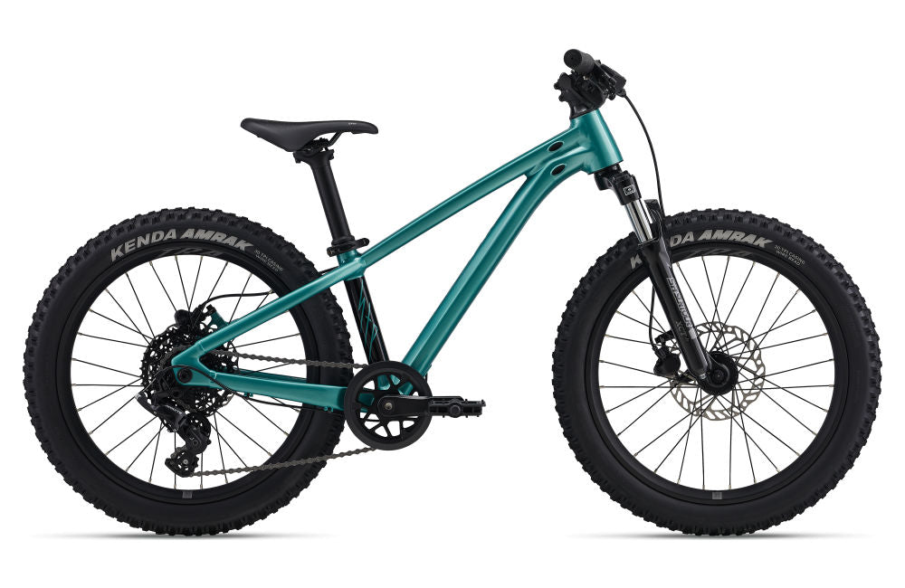 Giant STP 20 FS