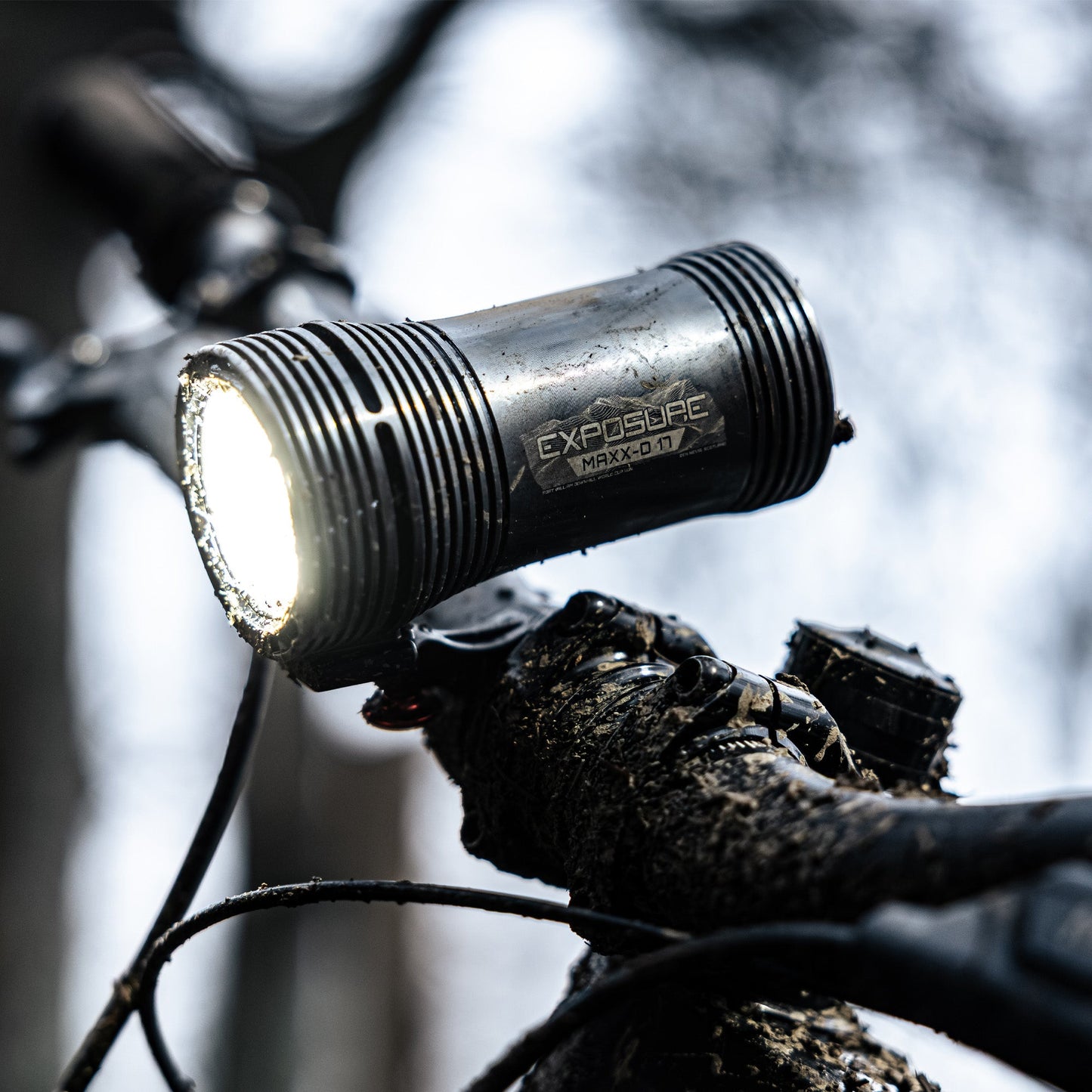 Exposure MaXx-D 17 Light