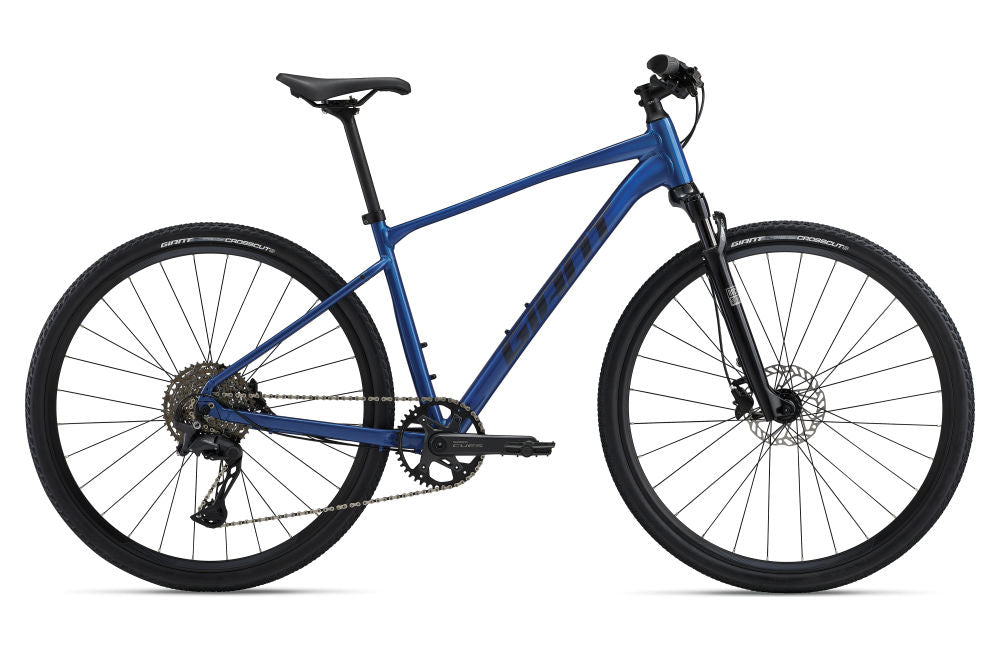 Giant Roam 1