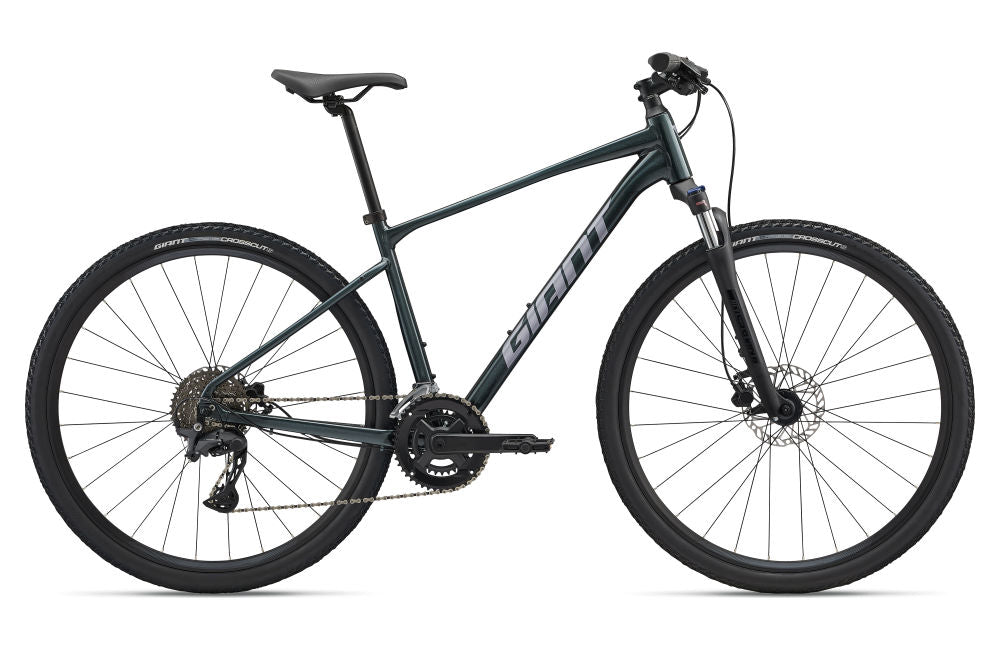 Giant Roam 2