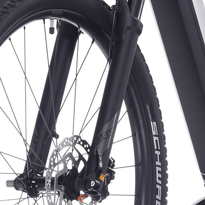 Superior Rock Machine eXC 6.3 Silver MTB E-Bike