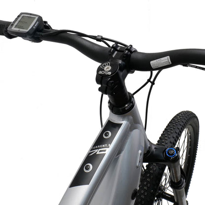 Superior Rock Machine Torrent E70-29 B Silver/Black E-Bike