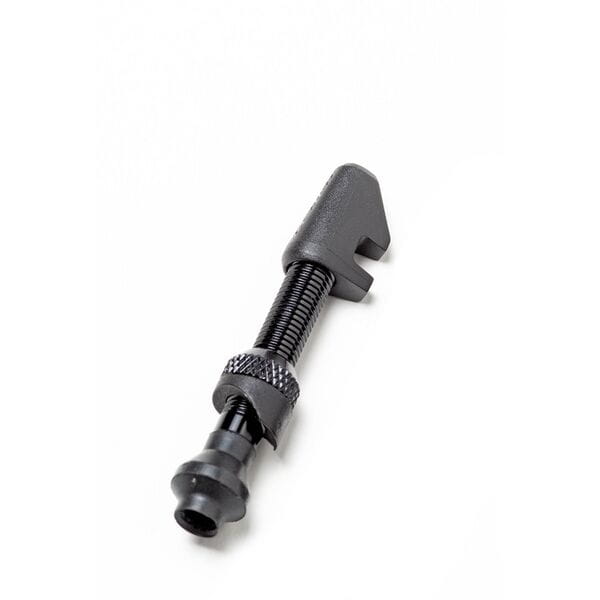 DT Swiss Lightweight aluminium tubeless valve