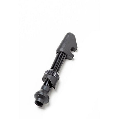 DT Swiss Lightweight aluminium tubeless valve