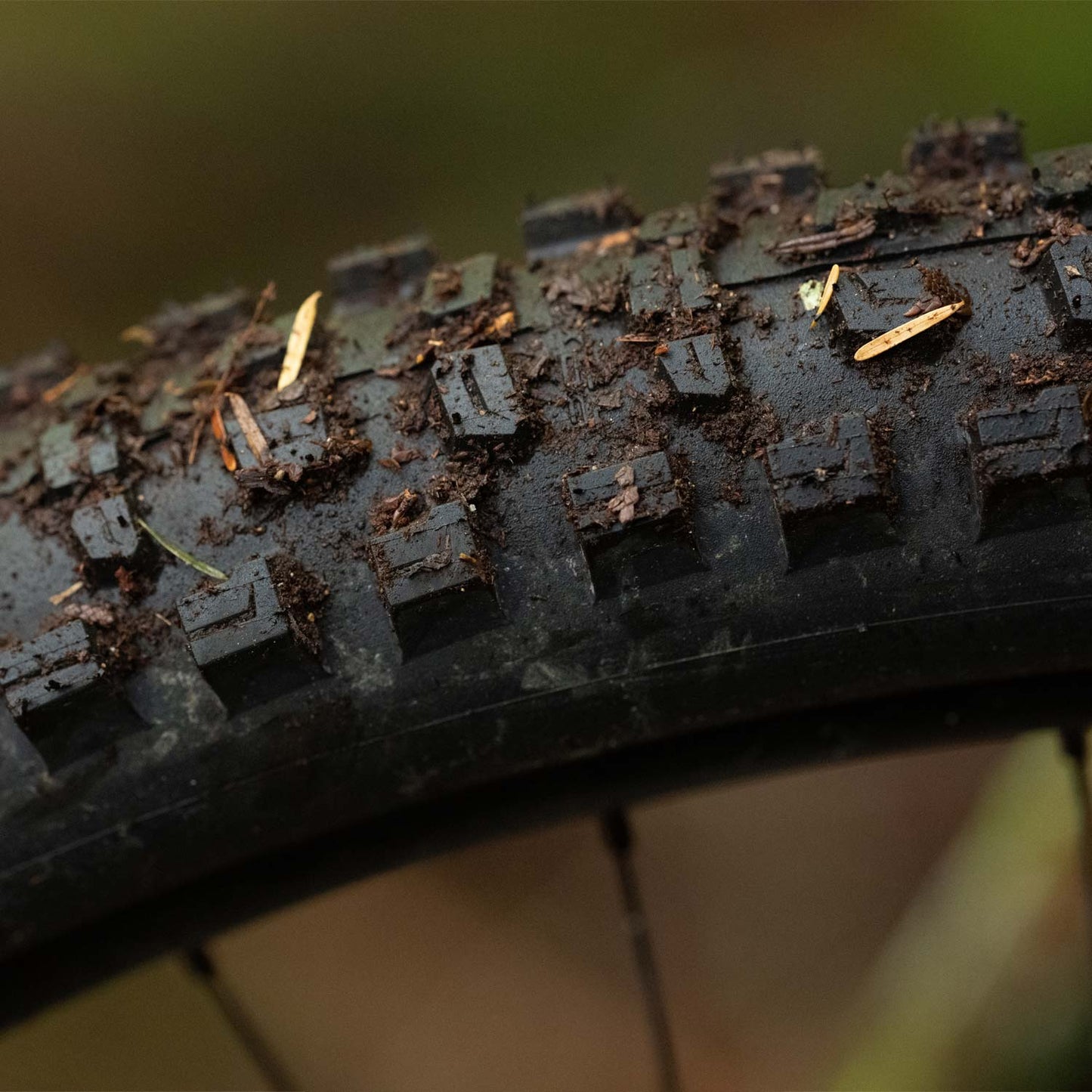 Schwalbe Romy Trail Folding TLR