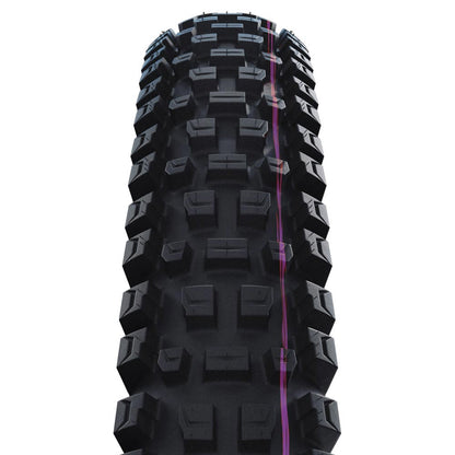 Schwalbe Albert Radial Trail Pro Folding TLE