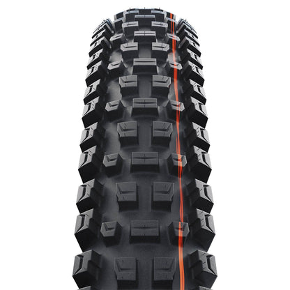 Schwalbe Albert Trail Pro Radial Soft TLR Folding