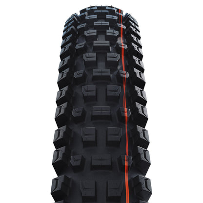 Schwalbe Albert Radial Trail Pro Folding TLE