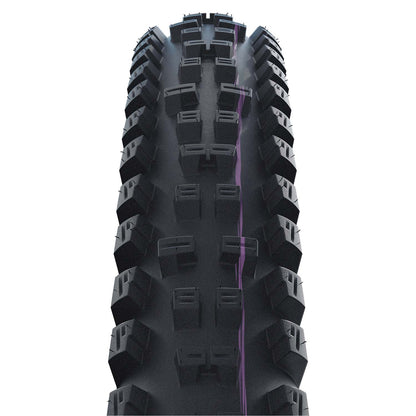 Schwalbe Tacky Chan Evo Super Ground Folding TLE