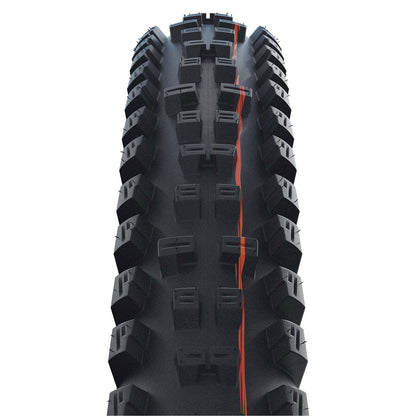 Schwalbe Tacky Chan Trail Pro Radial Soft Folding TLR