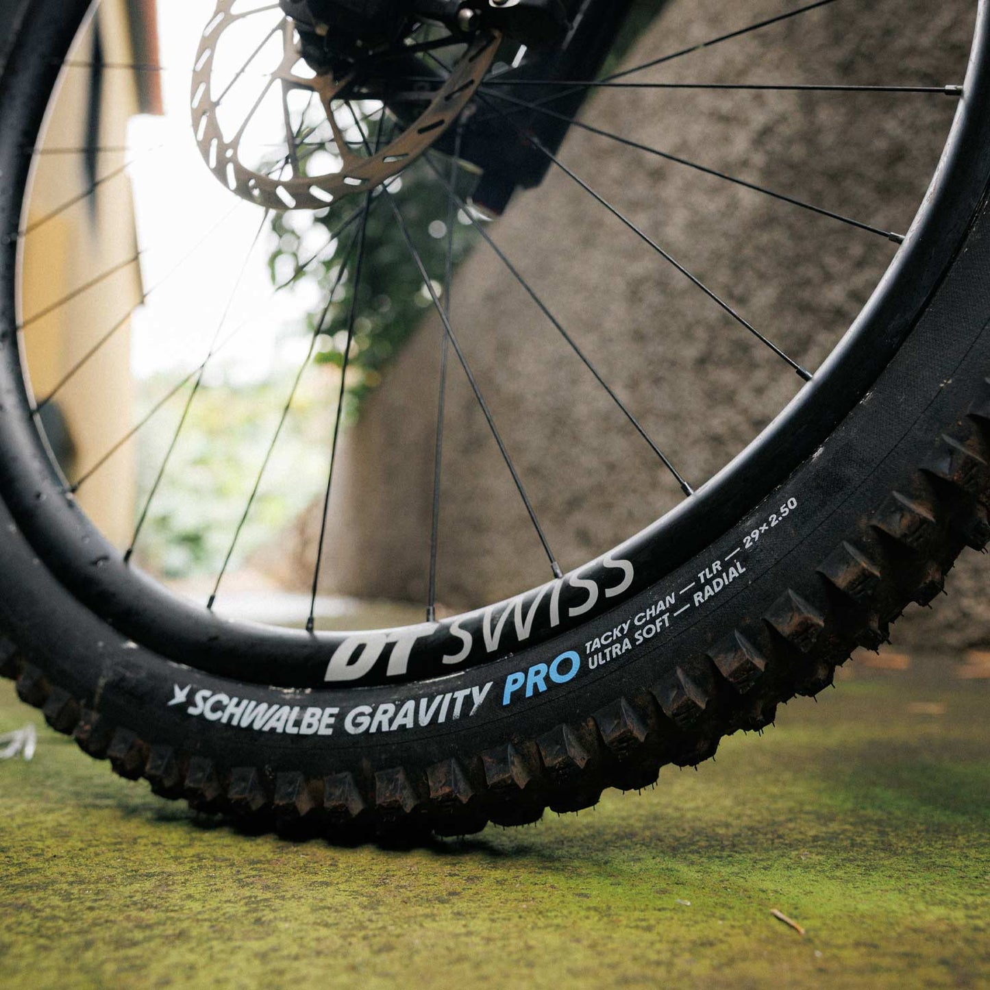 Schwalbe Tacky Chan Trail Pro Radial Soft Folding TLR