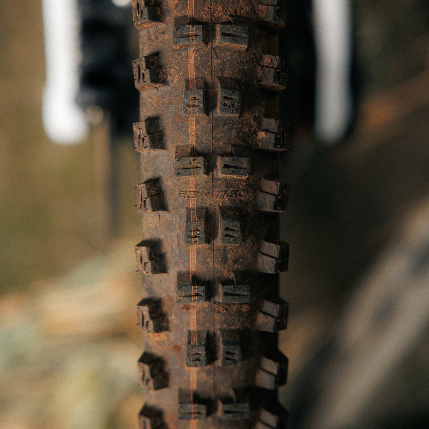 Schwalbe Tacky Chan Trail Soft Folding TLR