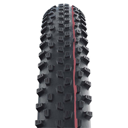 Schwalbe Racing Ray Evo Super Race Folding TLE