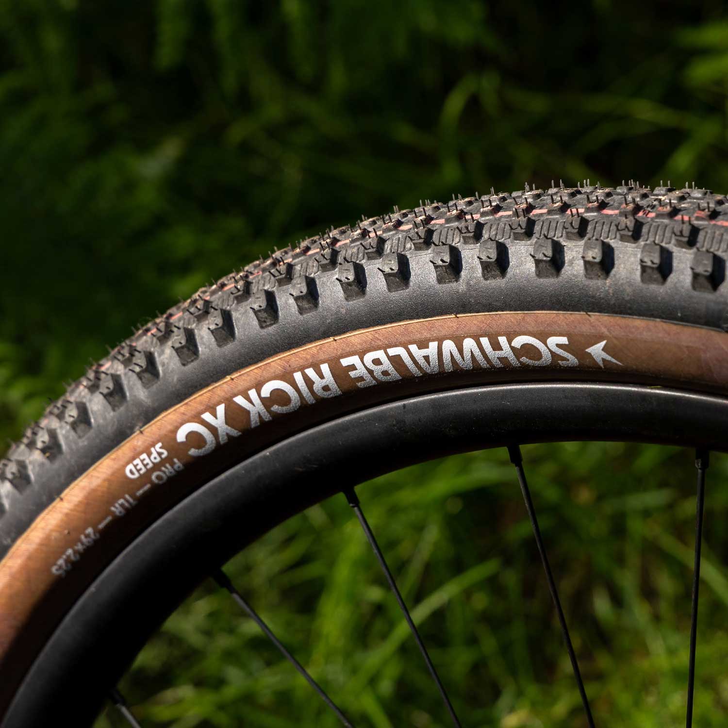 Schwalbe Rick XC Speedgrip Folding TLE — view 4