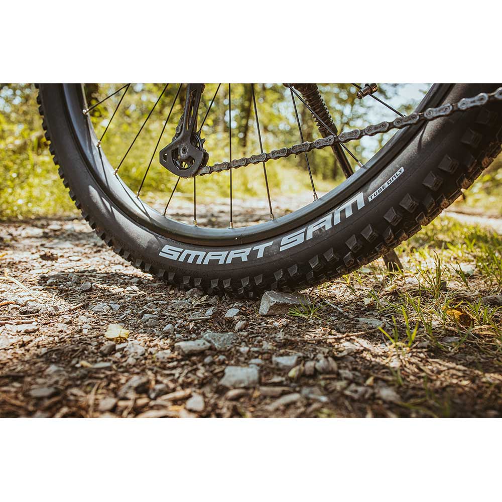 Schwalbe Smart Sam Performance E-25
